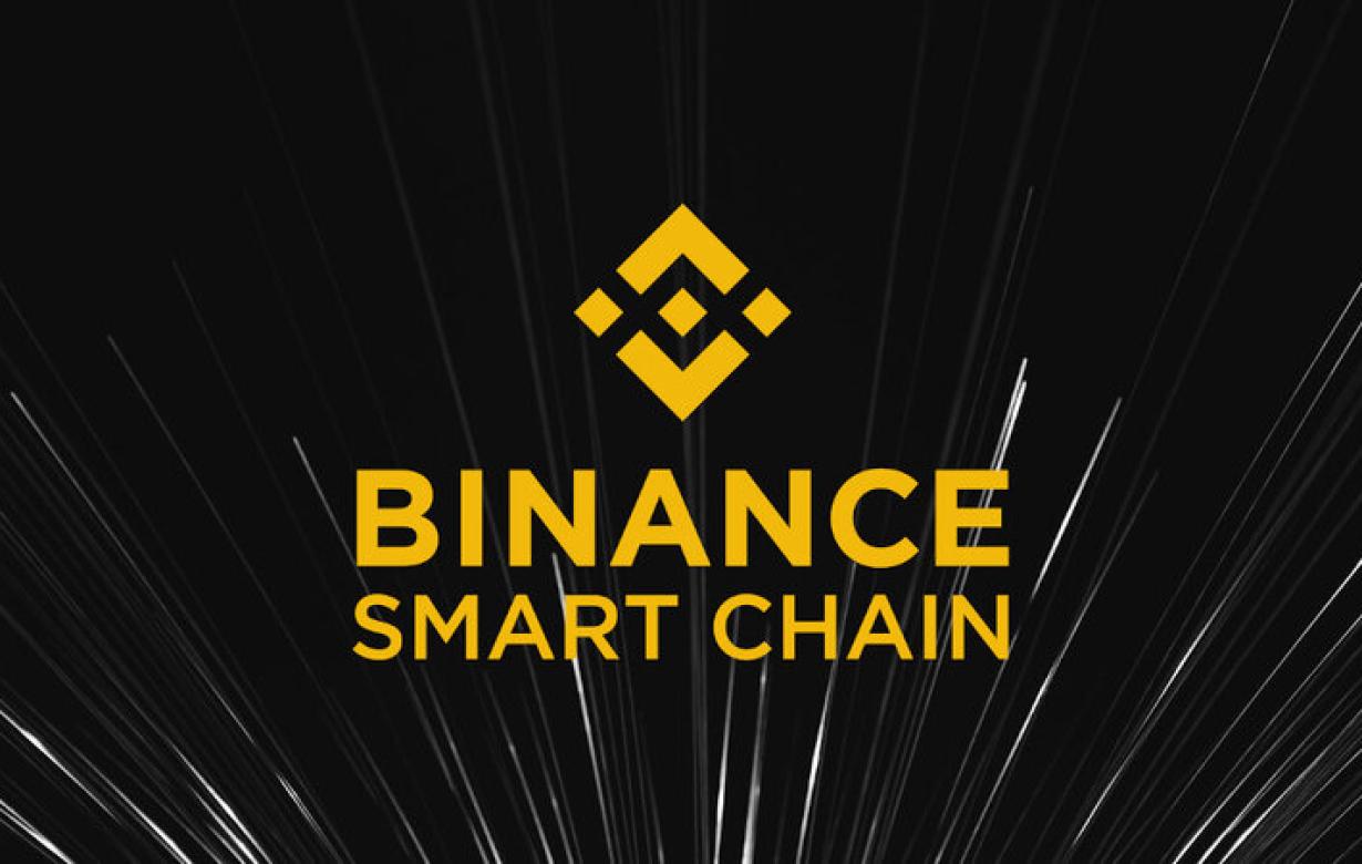 Binance Smart Chain: The Poten
