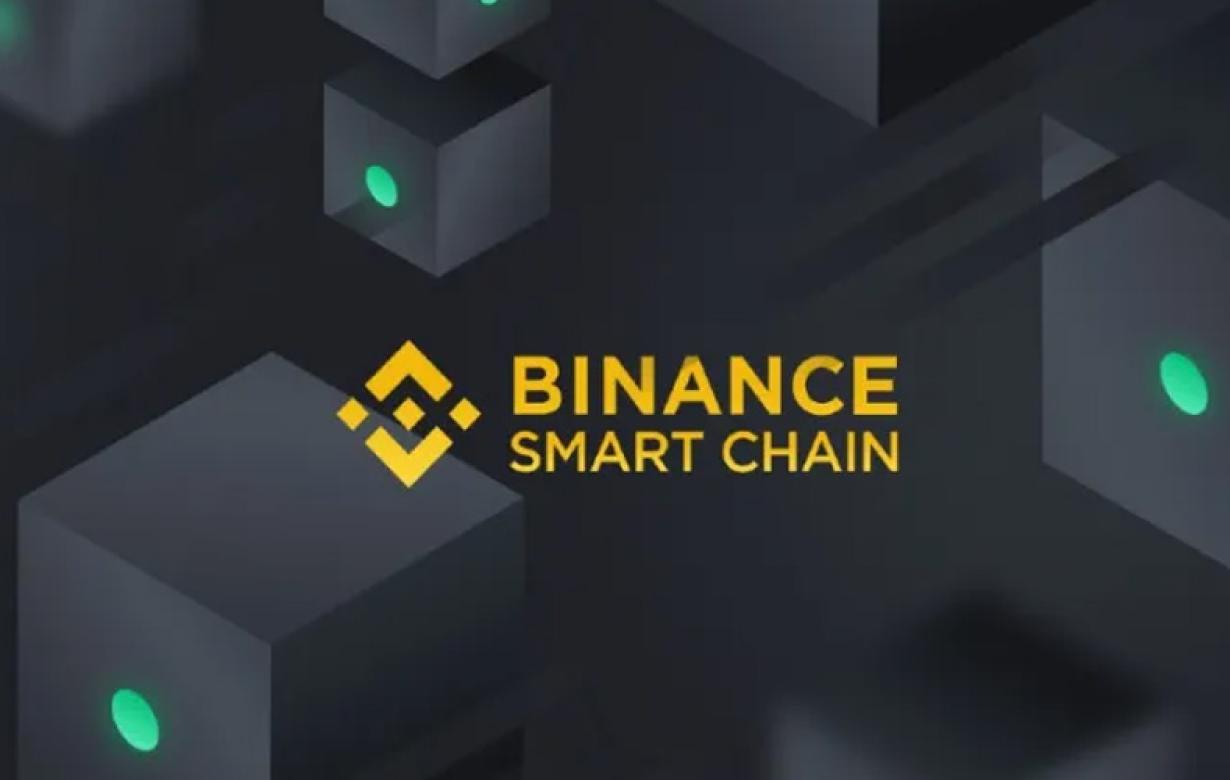 Binance Smart Chain: A Primer 
