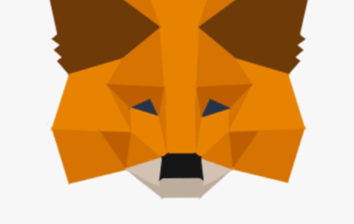 How To Install MetaMask For Et