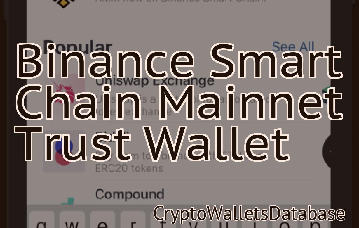 Binance Smart Chain Mainnet Trust Wallet