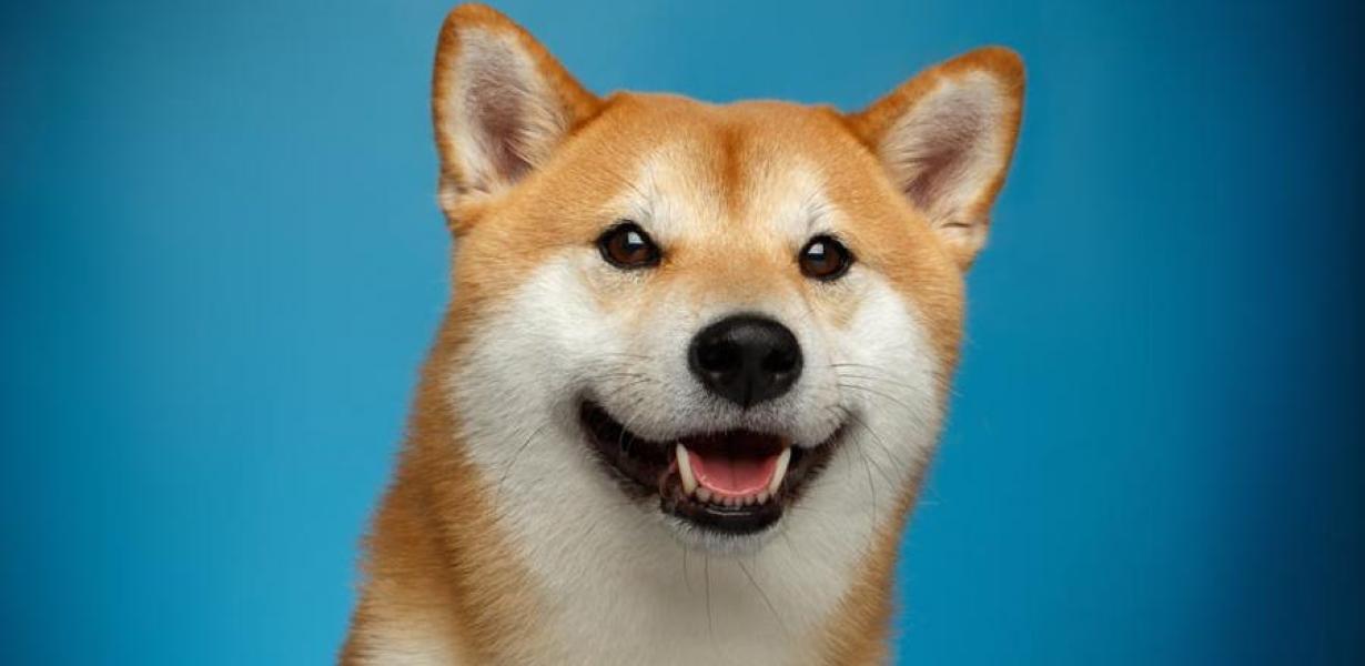The 5 Best Dogecoin Wallets fo