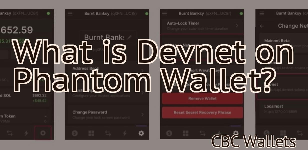 What is Devnet on Phantom Wallet?