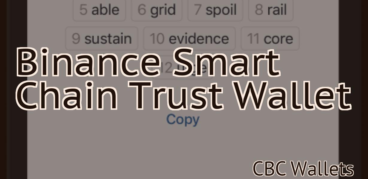 Binance Smart Chain Trust Wallet
