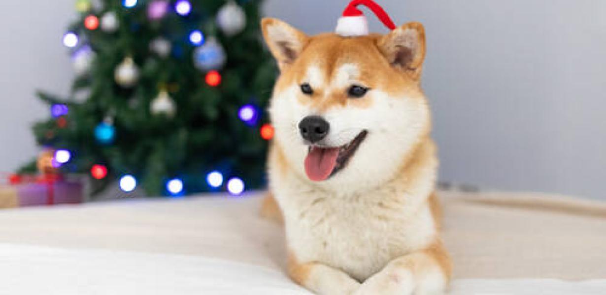 How to sell your Akita Inu Coi