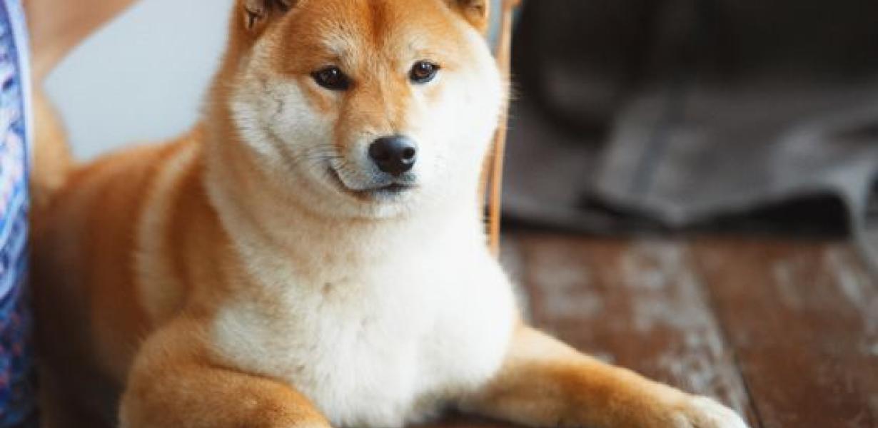 -How to add Shiba Inu to your 