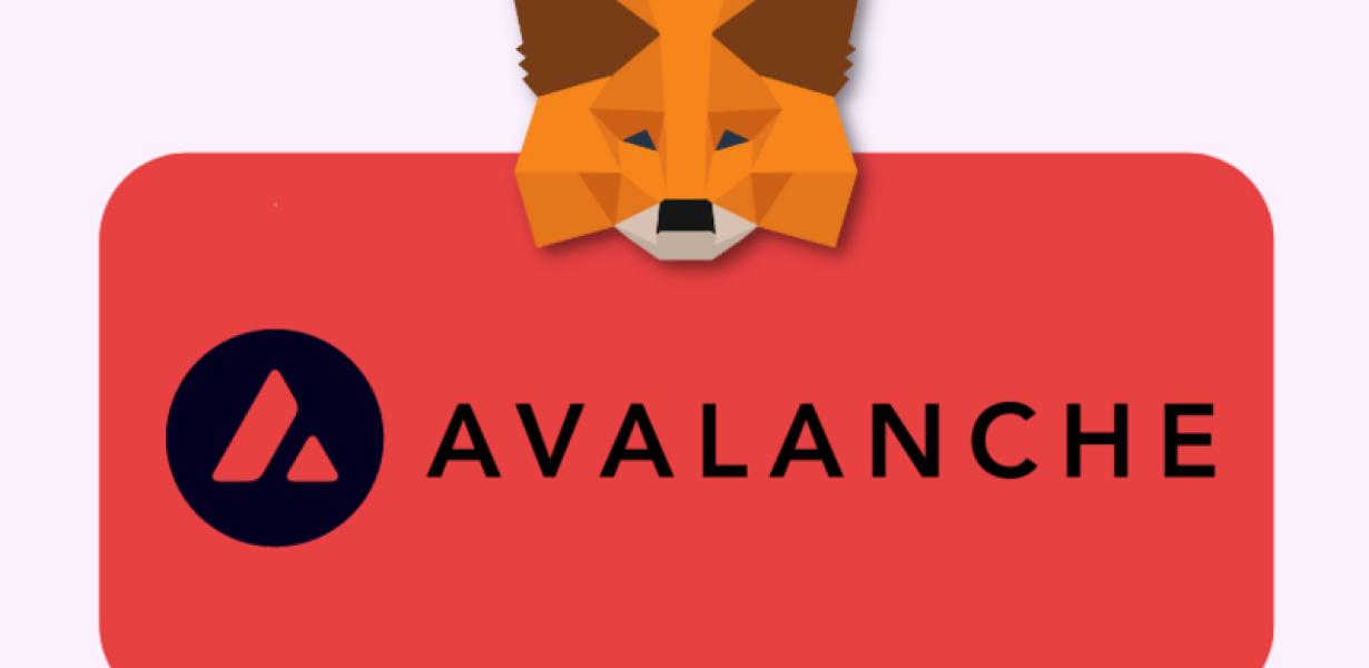 How to Connect Metamask to Ava