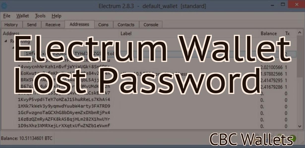 Electrum Wallet Lost Password